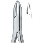 Tooth Extracting Forceps|(amr)